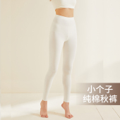 小个子袜裤 秋冬线裤 打底裤 大码 纯棉秋裤 白色无痕保暖裤 女内穿薄款