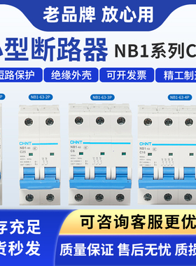 正泰小型断路器NB1-63 1P 2P 3P4PC6A10A16A32A40A63A照明保护C型