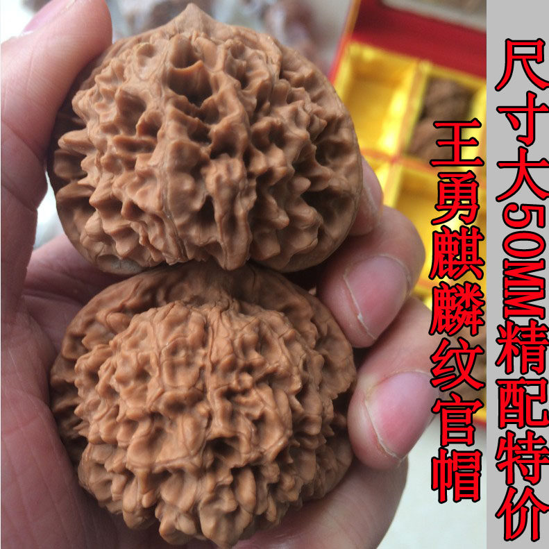 50mm王勇大官帽狮子头圆润老树麻核桃麒麟纹文玩把玩核桃手把件