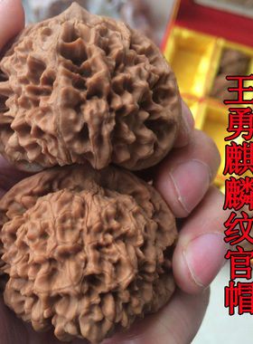 50mm王勇大官帽狮子头圆润老树麻核桃麒麟纹文玩把玩核桃手把件