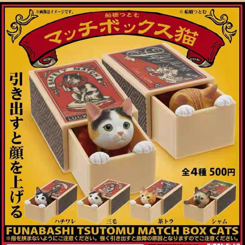 奇谭俱乐部躲在火柴盒里的猫