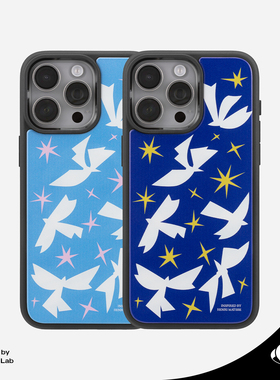 Jascent马蒂斯致敬款飞鸟磁吸手机壳剪贴画风格磨砂适用于苹果iPhone16Pro简约时尚原创15Pro保护壳创意