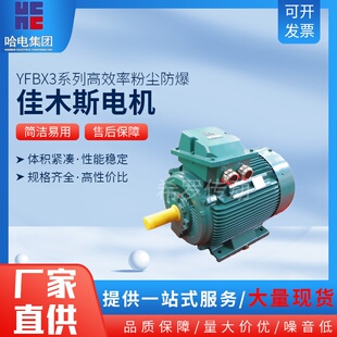 佳木斯电机YFBX3高效率粉尘防爆三相异步630kw710kw800kw厂家直供