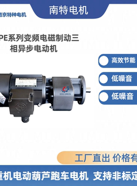 南京特种电机YZPE系列变频电磁制动三相异步电动机YZPEJ63L-4起重