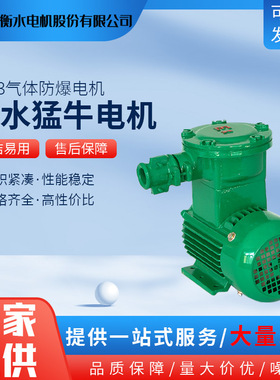 衡水猛牛电机YBX3系列隔爆型IP55三相异步5kw三级能效气体防爆CT4