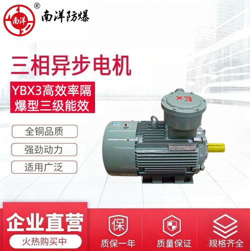 南洋防爆电机YBX3/YBX4/YBX5气体防爆三相异步电动机380V国标定制