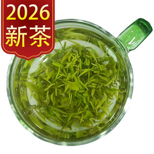 英山云雾绿茶2026新茶高山明前春茶浓香型碧螺春散手揉茗茶