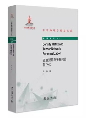 正版Density Matrix and Tensor Network Renormalization（密度矩阵与张量网络重正化）中外物理学精品书系北京大学出版社