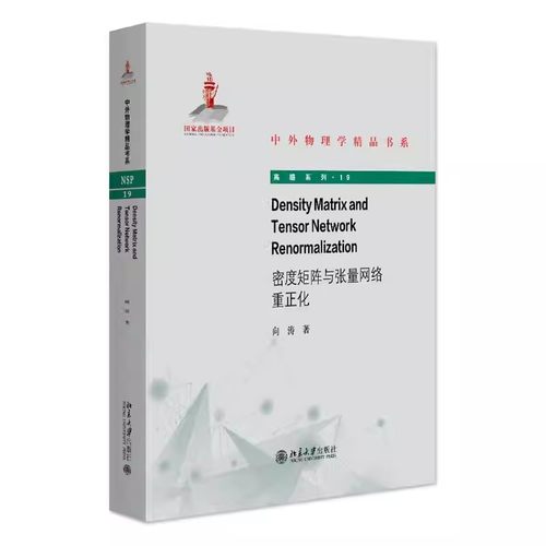正版Density Matrix and Tensor Network Renormalization（密度矩阵与张量网络重正化）中外物理学精品书系北京大学出版社