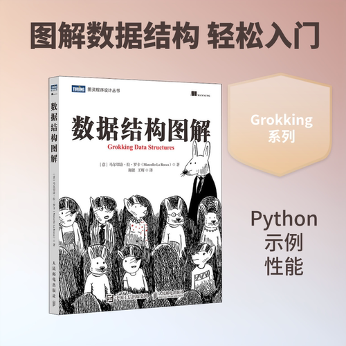 正版现货 数据结构图解 人民邮电出版社 【意大利】马尔切洛·拉·罗卡（Marcello La Rocca） 著 谢勰 王辉 译 程序设计（新）
