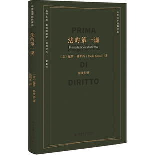 北大现货 法的第一课 保罗格罗西 法律知识读物 北京大学出版社9787301348147