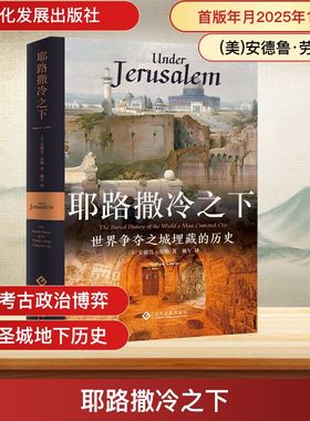 正版现货 耶路撒冷之下 文化发展出版社 (美)安德鲁·劳勒 著 著 姚军 译 译 世界通史