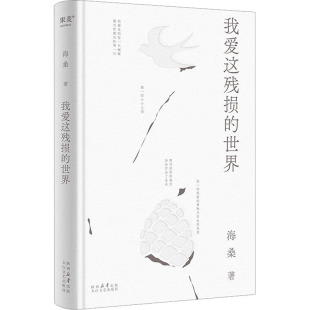世界 太白文艺出版 社 正版 著 我爱这残损 海桑 中国现当代诗歌 现货