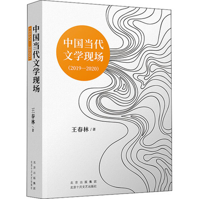 正版现货 中国当代文学现场(2019-2020) 北京十月文艺出版社 王春林 著 现代/当代文学