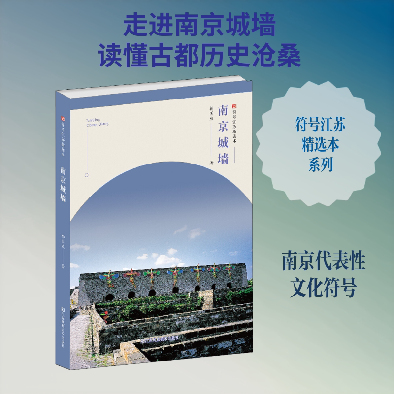 正版现货 南京城墙 江苏凤凰美术出版社 杨国庆 著 文化史