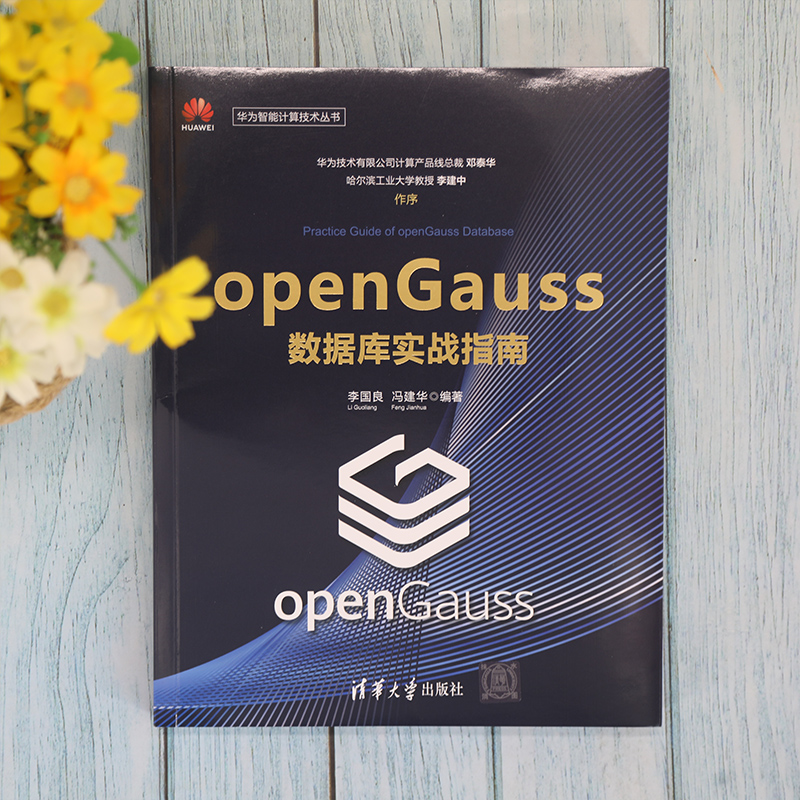 openGauss数据库实战指南 李国良、冯建华 清华大学出版社 关系数据库系统-指南