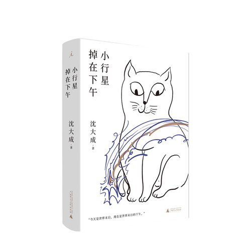 小行星掉在下午  沈大成 著  小说作品集 宝珀理想国文学奖决选作者沈大成作品 理想国（imaginist）
