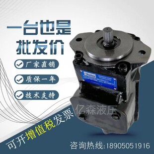 Denison丹尼逊叶片泵T7DB/T7DBS-28/31/35/38/45-B02/B03-1R00-A1