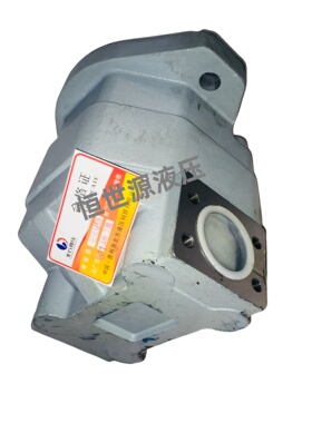 CBL5180-A1R CBL5200-A1L 北方液压液压齿轮油泵 边立式齿轮油泵