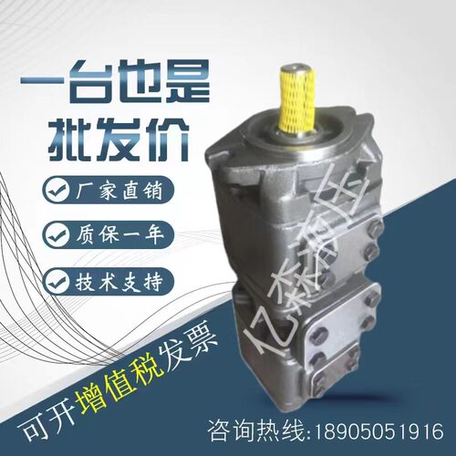 美国sunny内啮合齿轮泵HG21系列HG21-125-50-VPC双联油泵规格齐全