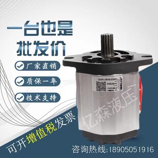 进口赛特玛SETTIMA螺杆泵G55C075FSBT150ED花键平键齿轮油泵