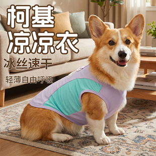 宠物狗衣服夏季柯基吉娃娃比熊斗牛犬泰迪帅气户外小中大型犬背心