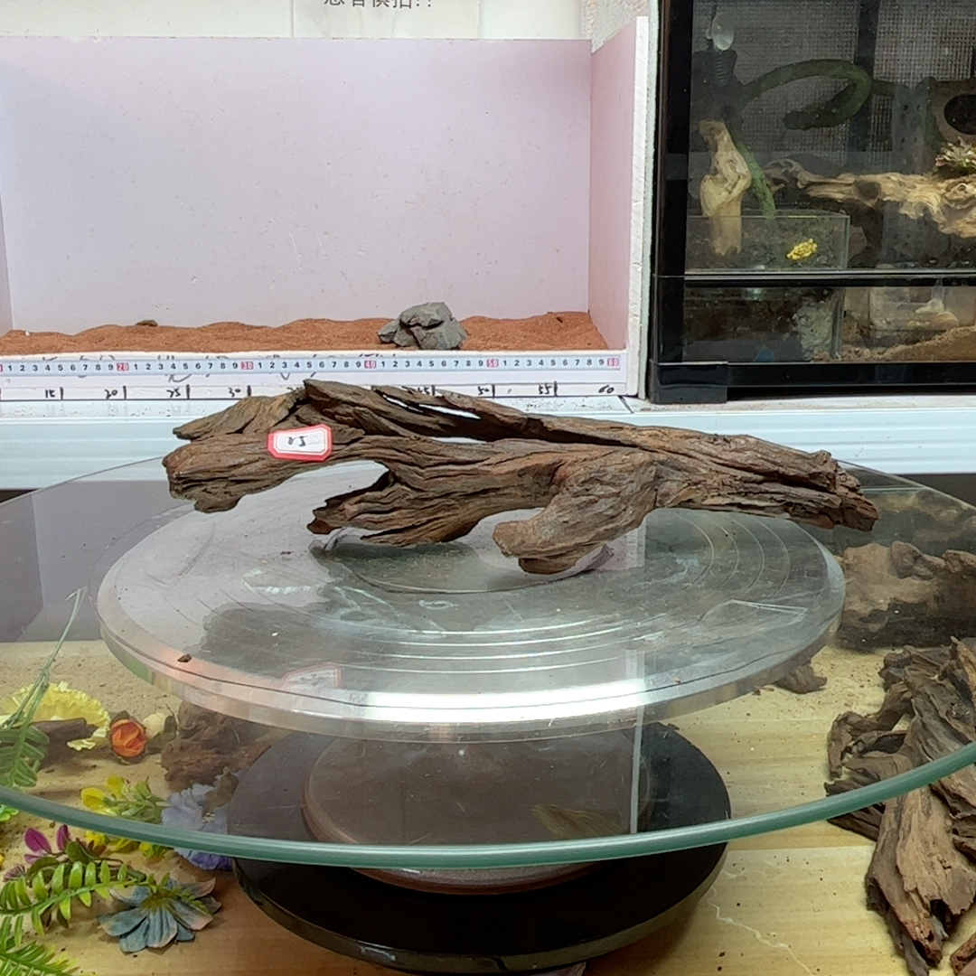 紫柚木秒沉25号长35宽10高8