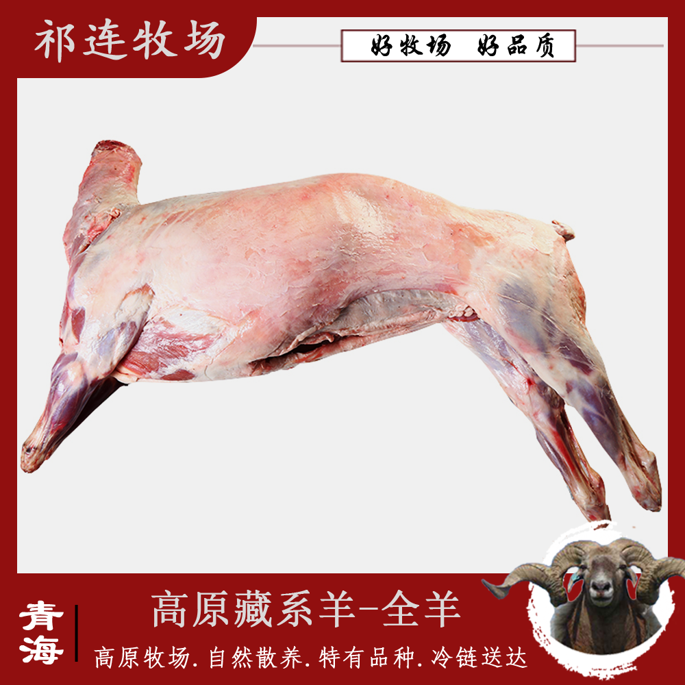 新鲜全羊|整只装35斤左右青海祁连牧场高原现杀藏羊草原散养整羊