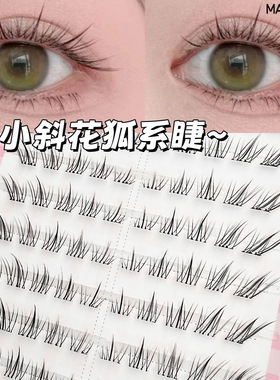 新小斜花短款自然斜飞狐系中式冷分段式苏妲己新手假睫毛胶水免胶