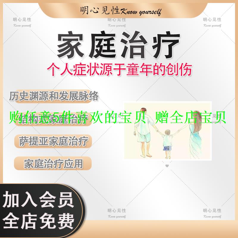 课程基础理论心理咨询视频结构式家庭萨提亚技巧评估家庭