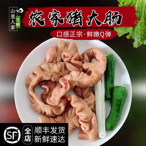 酱猪肠500g新鲜猪大肠