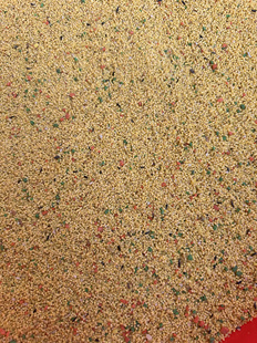 蛋小米鹦鹉营养粮滋养丸高营养繁殖粮蛋黄米1斤500克分装鸟食鸟粮