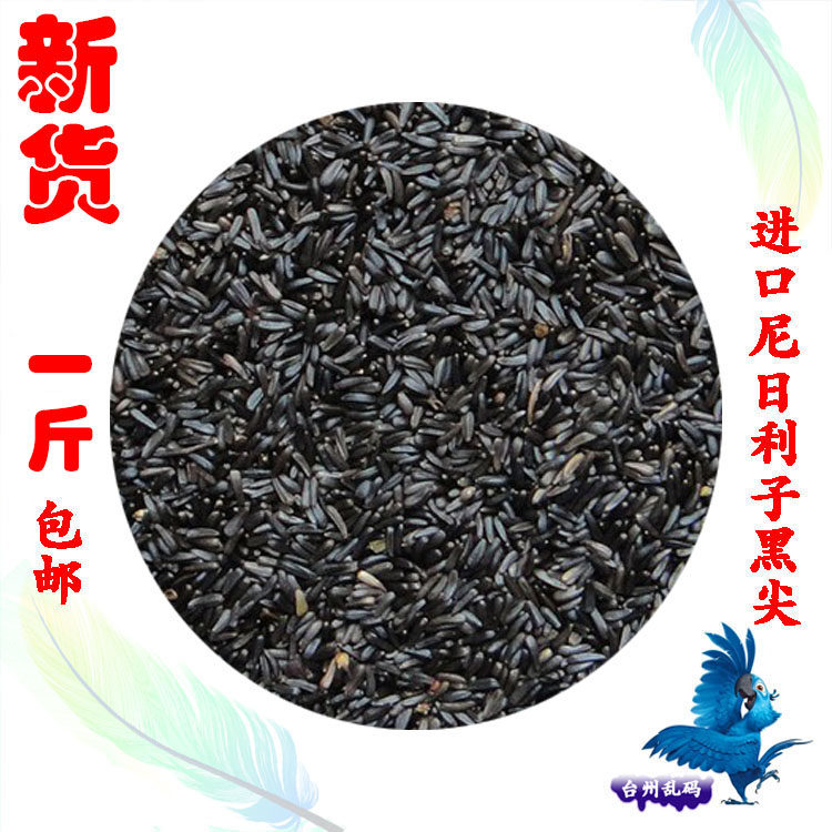 【新货】发芽率高黑尖黑金黍尼日尔草籽黑尖芙蓉鸟粮鸟食鸟用草籽