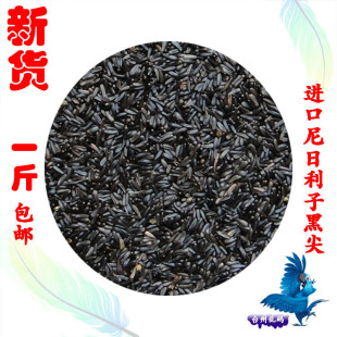【新货】发芽率高黑尖黑金黍尼日尔草籽黑尖芙蓉鸟粮鸟食鸟用草籽