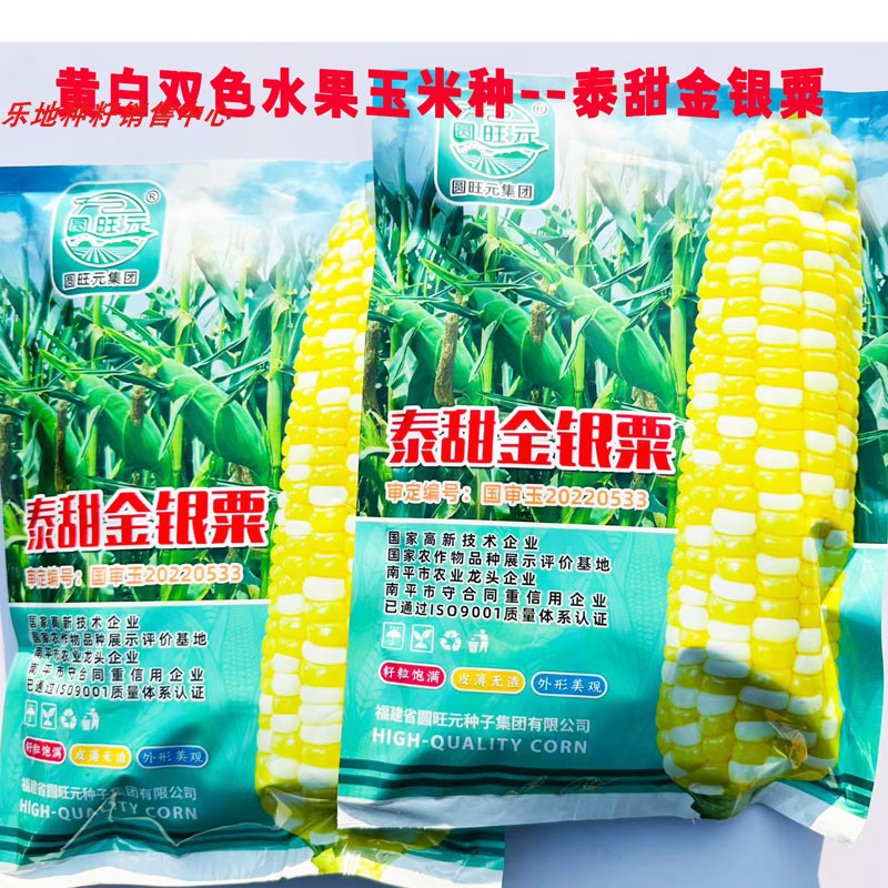 圆旺元黄白超甜耐热水果玉米种子