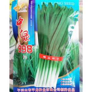 平龙中绿998韭菜种籽高产耐寒春秋不休眠791河南宽叶韭菜种子