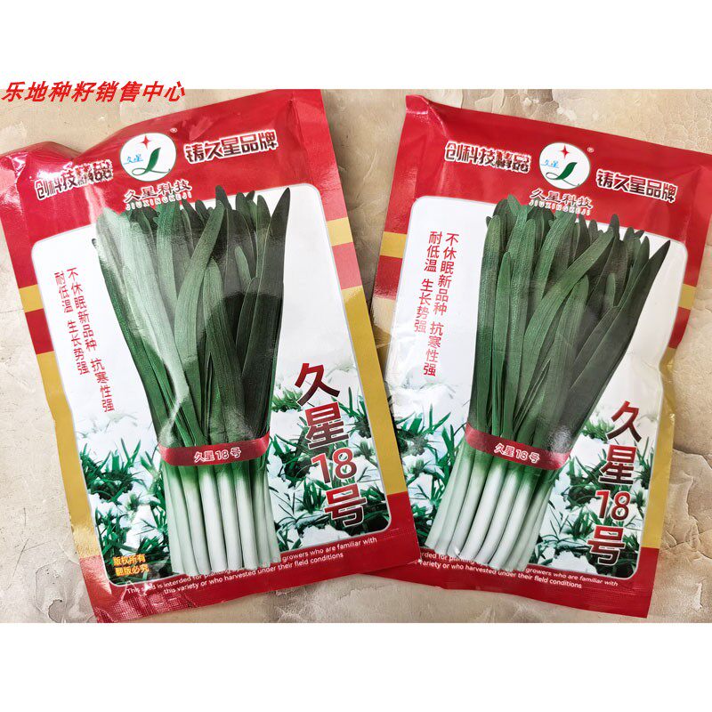 久星18号雪韭种子高产耐寒不休眠