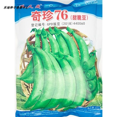 义天晟奇珍76甜豌豆种耐低温