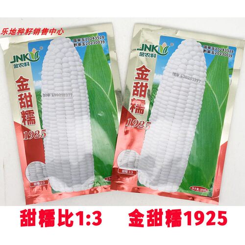 金甜糯1925白甜糯玉米种子非转