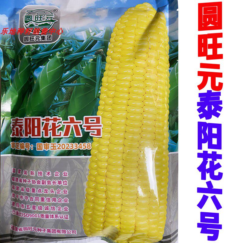 泰阳花6号超甜耐热水果玉米种