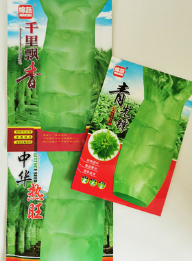 中华热旺青先锋莴笋种籽高产四季耐寒耐热圆尖叶青皮香莴苣种子