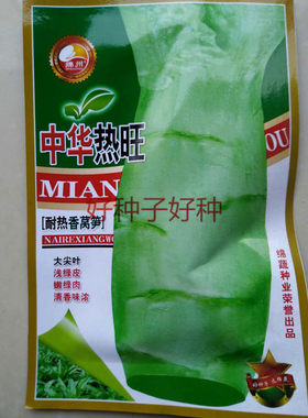 中华热旺中华火炬莴笋种子耐热尖叶夏季秋季四季播种罐装莴苣种子