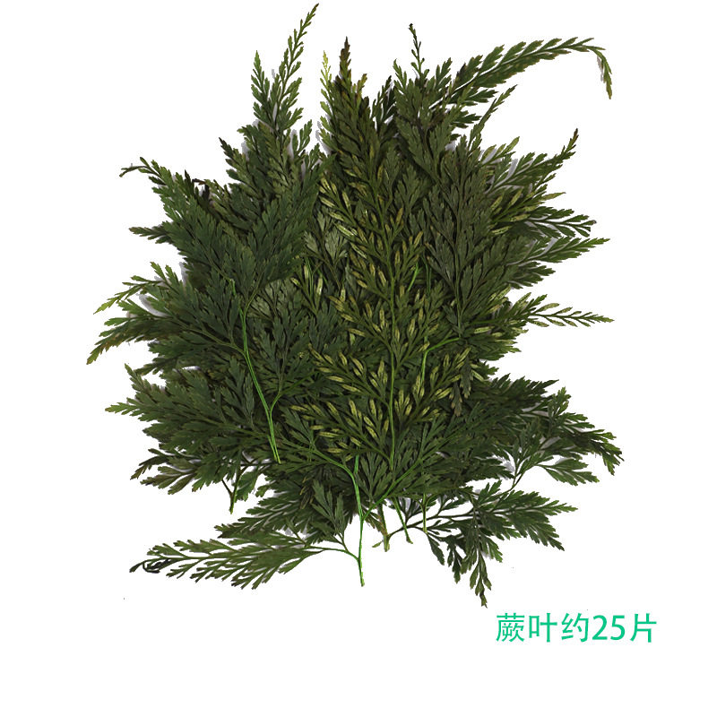古法造纸术干花材料包儿童花草纸书签真花植物标本花卉手工,家居饰品,干花/花瓣/干花包/干树枝,淘宝优惠券,粉丝福利购,淘宝优惠卷