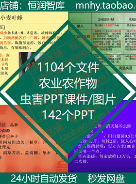 农业农作物病虫害PPT课件图片植物小麦水稻玉米棉花栽培蔬菜果树