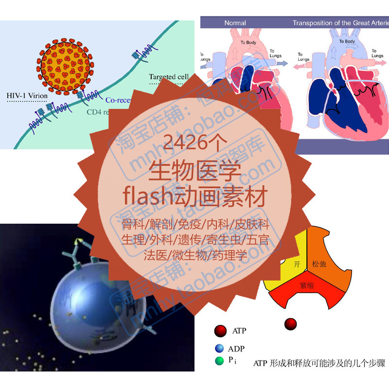 生物医学flash动画素材动图swf骨科解剖学免疫学内科皮肤科外科 商务/设计服务 设计素材/源文件 原图主图