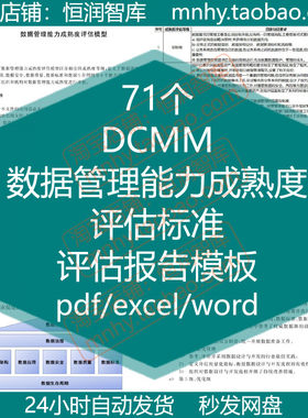 DCMM数据管理能力成熟度评估模型标准报告模板信息安全技术打分表