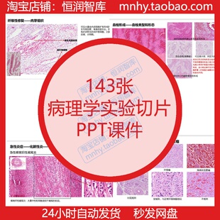 病理学实验切片ppt课件细胞组织骨骼肌心肌素材损伤肿瘤心血管