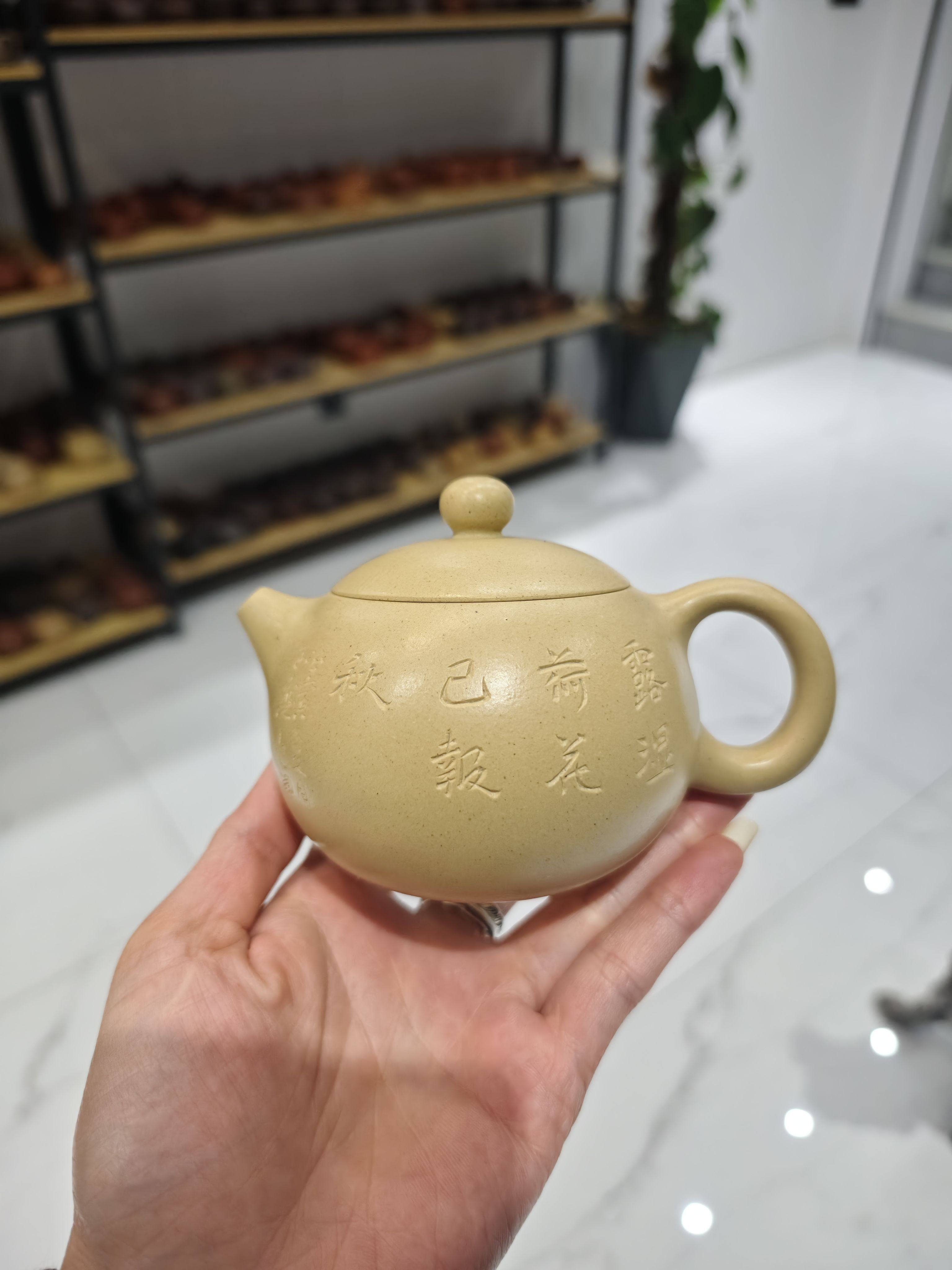（孤品特价）宜兴紫砂壶原矿台西茶壶