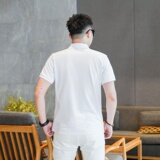 2026年新款短袖POLO衫钱塘3019PL3109P75真模，男装T恤，钱塘6016-1(原3019)