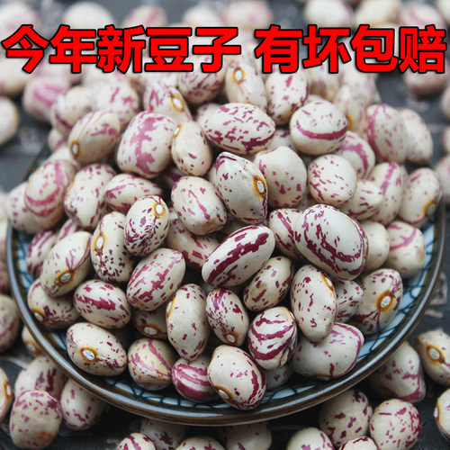 贵州特产雀蛋豆今年新货